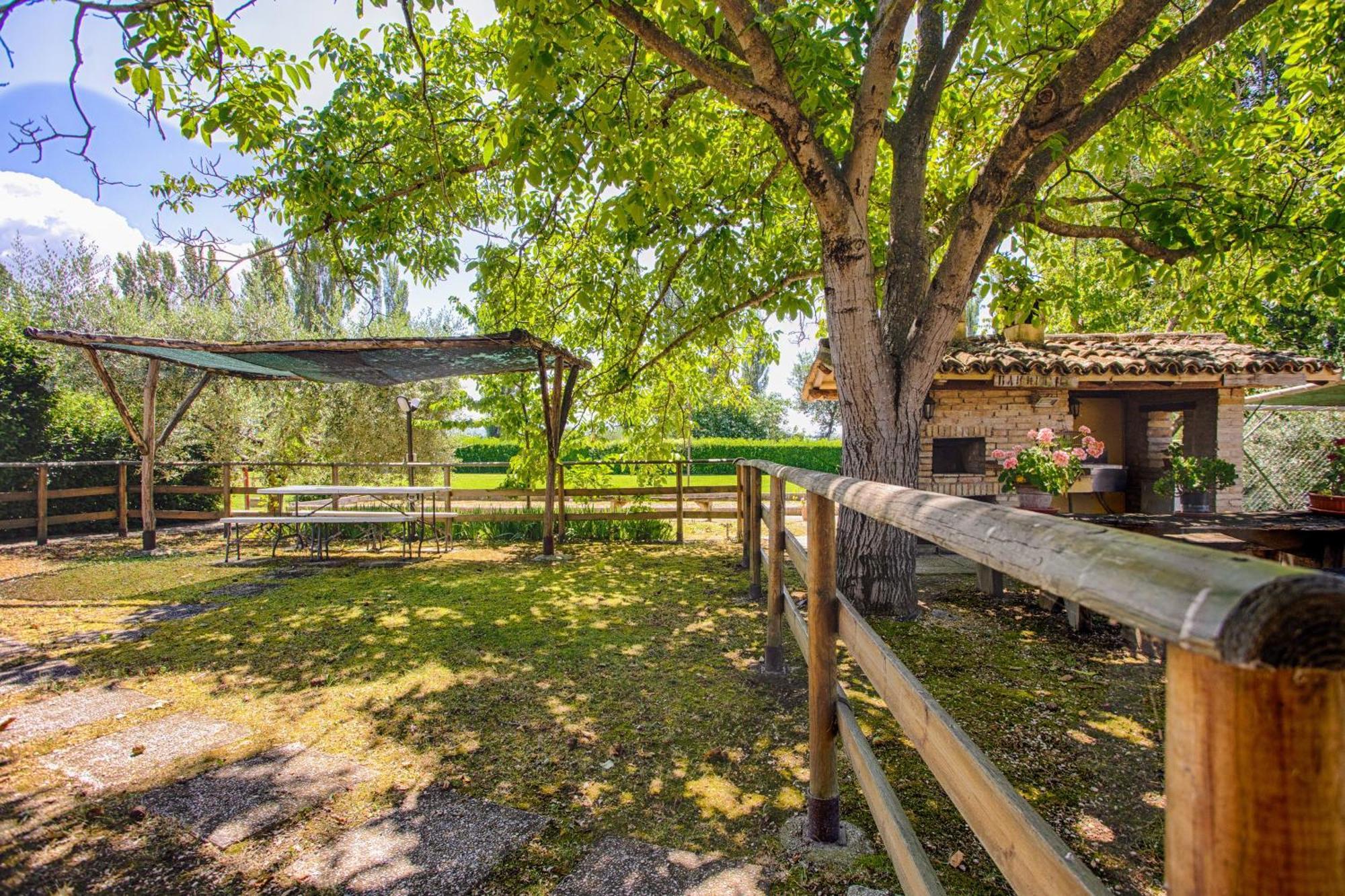 Agriturismo La Mora Asyż Zewnętrze zdjęcie