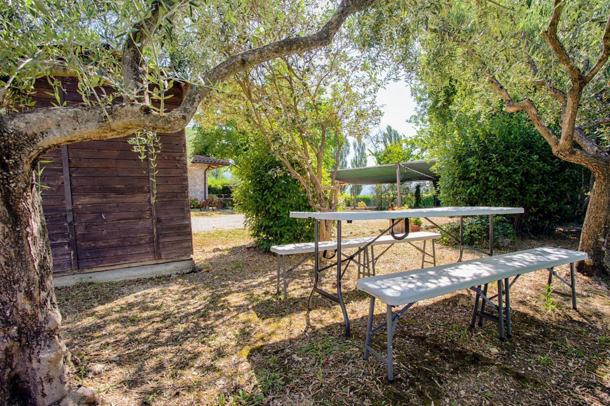 Agriturismo La Mora Asyż Zewnętrze zdjęcie